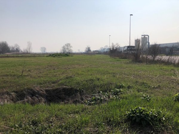 terreno edificabile in vendita ad Este