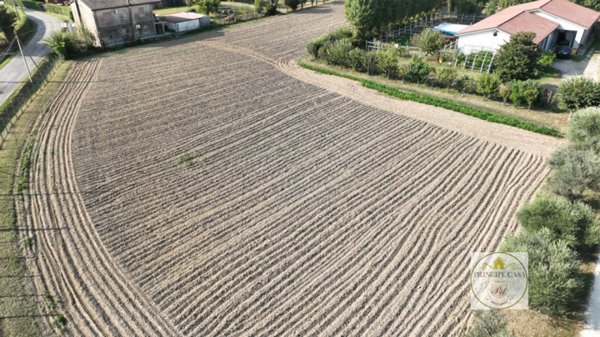 terreno agricolo in vendita ad Este