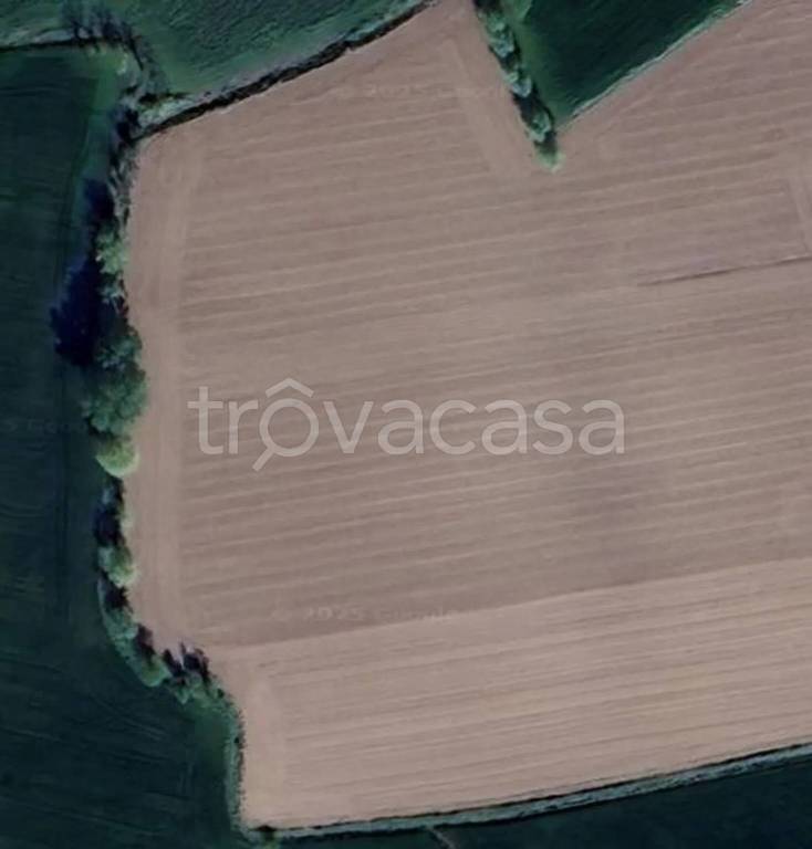 terreno agricolo in vendita ad Este