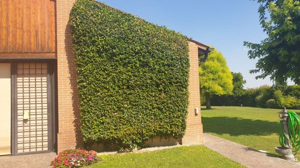 casa indipendente in vendita ad Este