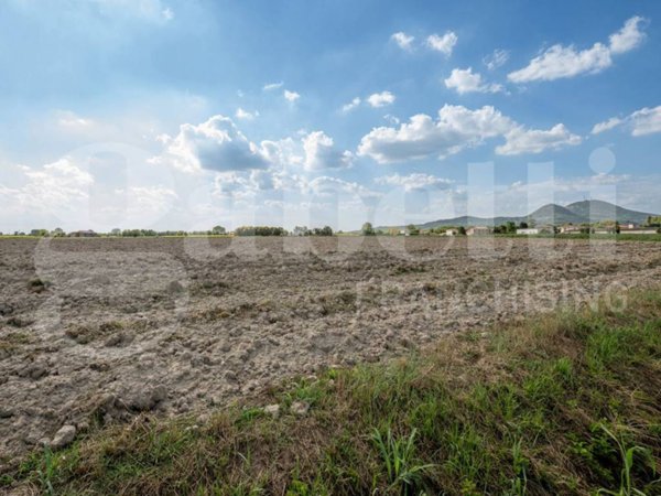 terreno agricolo in vendita ad Este