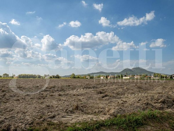 terreno agricolo in vendita ad Este