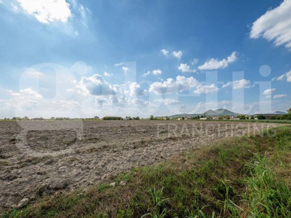 terreno agricolo in vendita ad Este