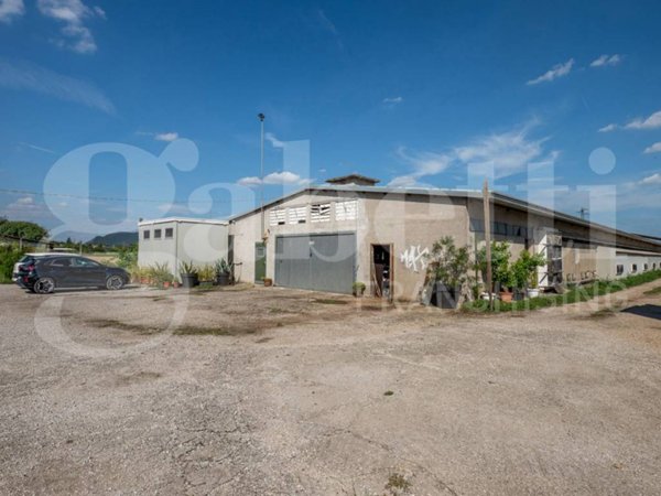 locale commerciale in vendita ad Este