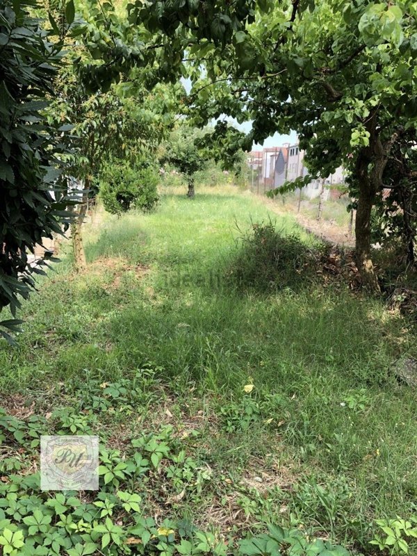 appartamento in vendita ad Este