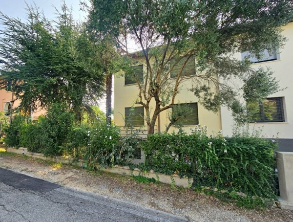 casa indipendente in vendita ad Este