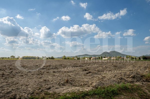 terreno agricolo in vendita ad Este