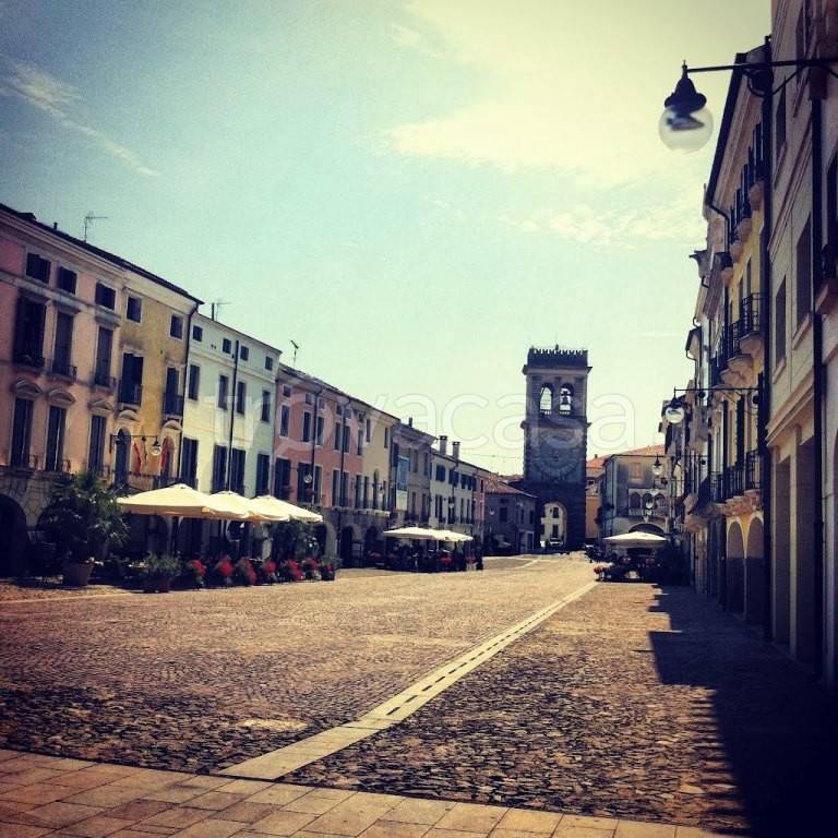 terreno agricolo in vendita ad Este