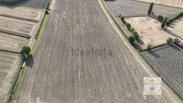 terreno agricolo in vendita ad Este