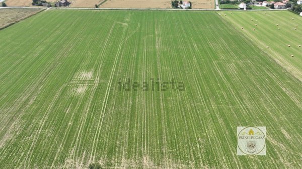 terreno agricolo in vendita ad Este