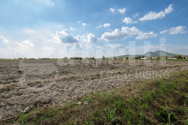 terreno agricolo in vendita ad Este