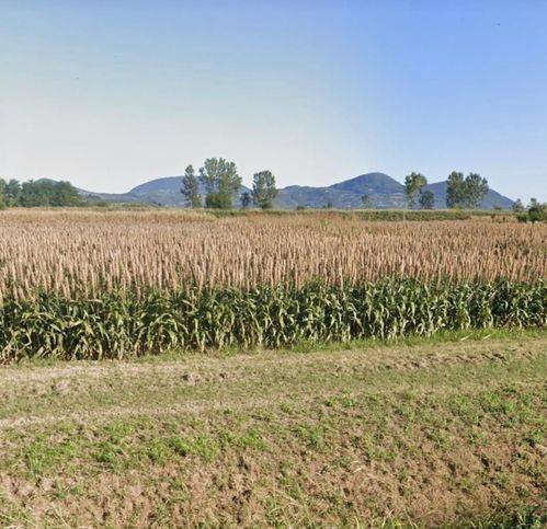 ufficio in vendita ad Este