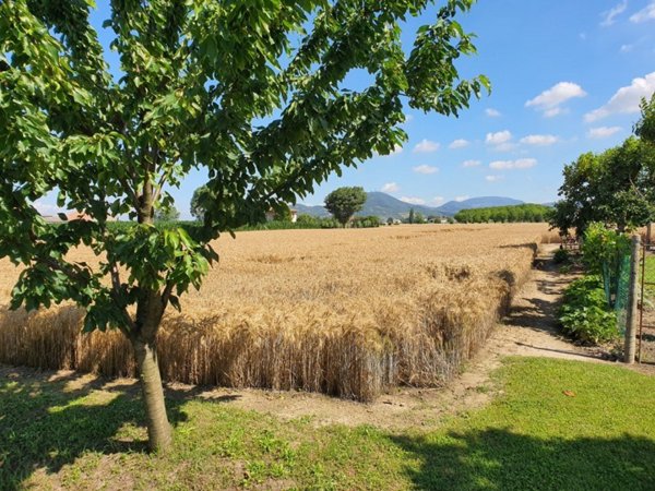 terreno agricolo in vendita ad Este