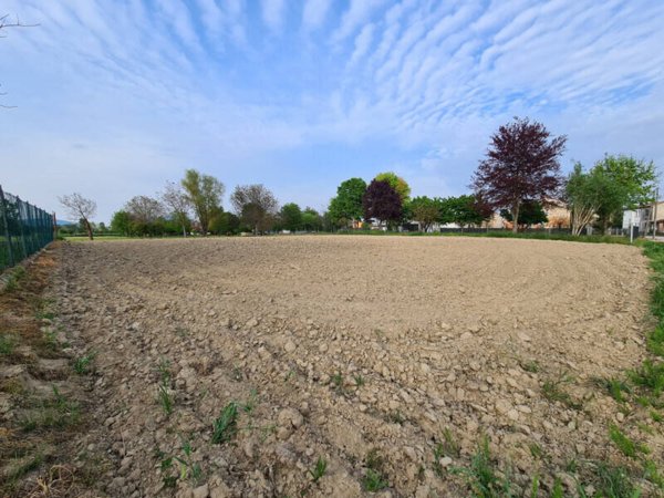 terreno agricolo in vendita ad Este