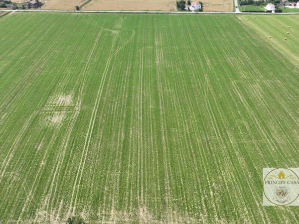 terreno agricolo in vendita ad Este