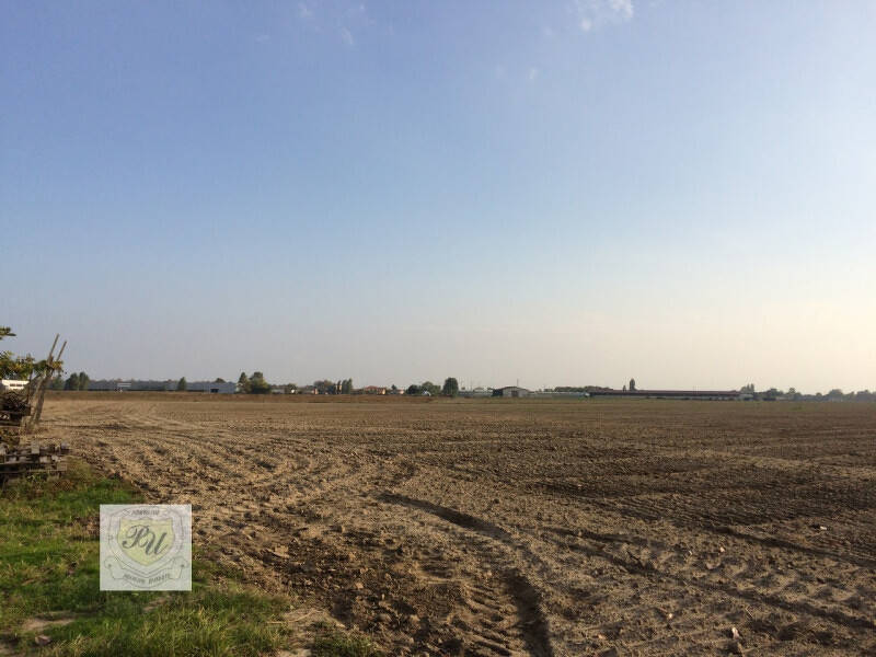 terreno agricolo in vendita ad Este