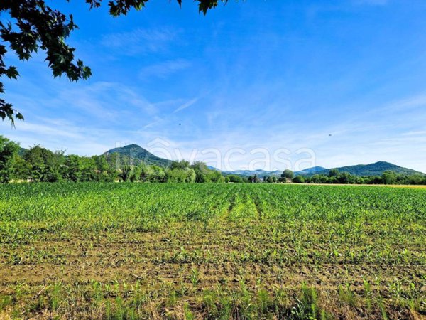 terreno agricolo in vendita ad Este