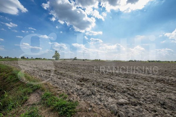 terreno agricolo in vendita ad Este