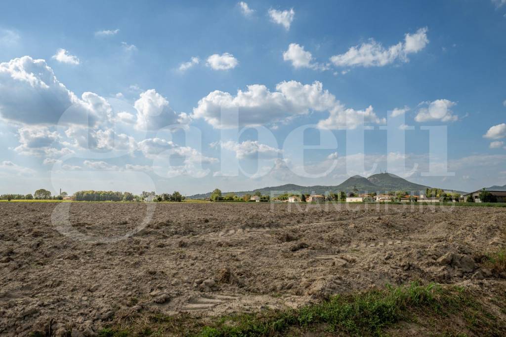 terreno agricolo in vendita ad Este