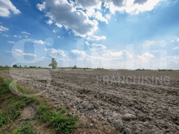 terreno agricolo in vendita ad Este