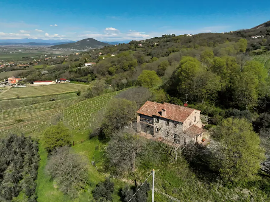 casa indipendente in vendita ad Este
