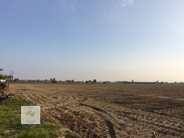 casa indipendente in vendita ad Este