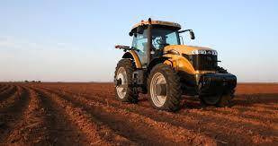 terreno agricolo in vendita ad Este