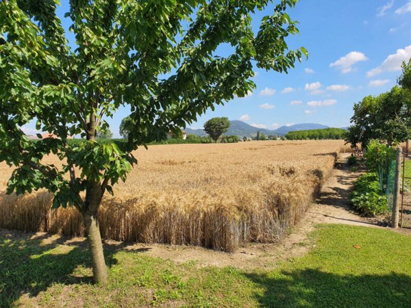casa indipendente in vendita ad Este