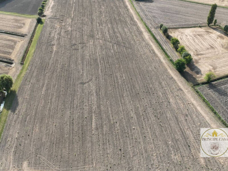 casa indipendente in vendita ad Este