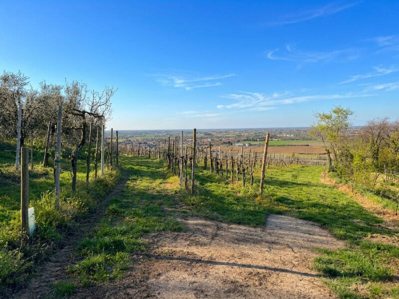 casa indipendente in vendita ad Este
