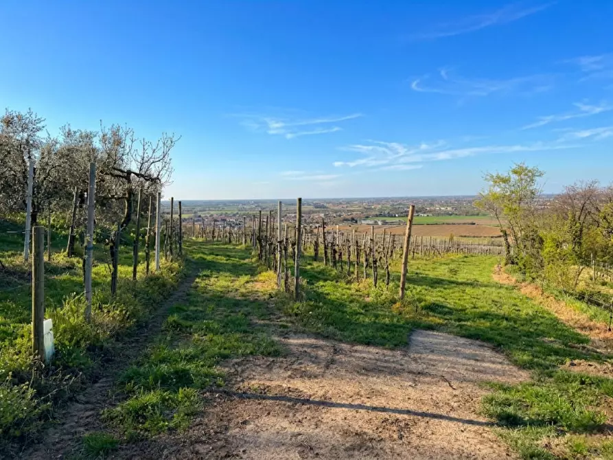 casa indipendente in vendita ad Este