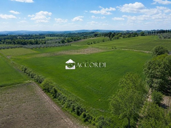terreno agricolo in vendita ad Este