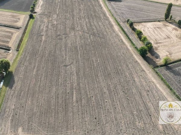 terreno agricolo in vendita ad Este