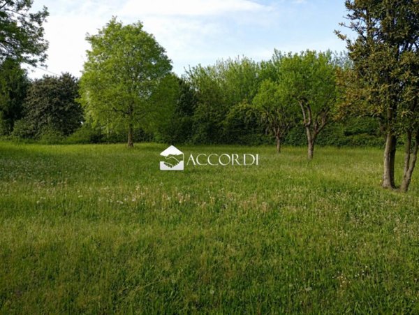 terreno agricolo in vendita ad Este