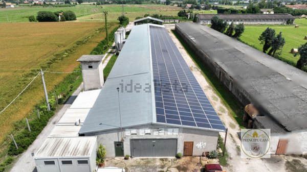 terreno agricolo in vendita ad Este