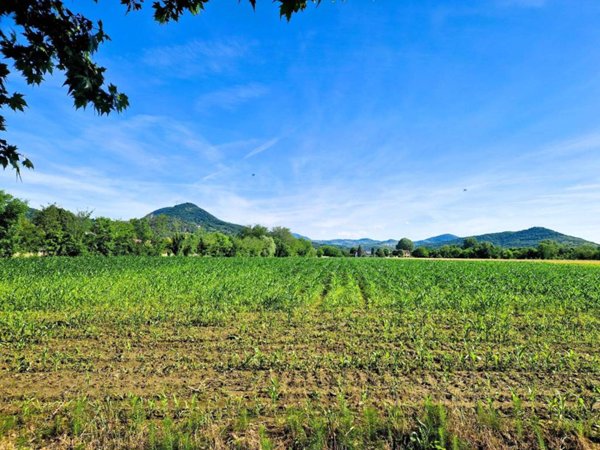terreno in vendita ad Este