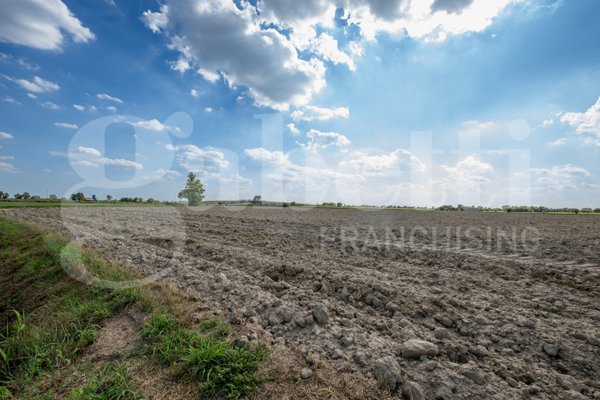 terreno in vendita ad Este