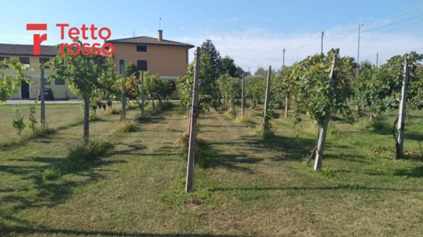 casa indipendente in vendita a Fontaniva