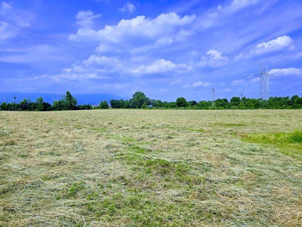 terreno agricolo in vendita a Fontaniva