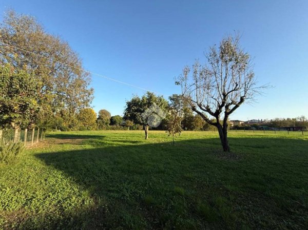 terreno edificabile in vendita a Fontaniva