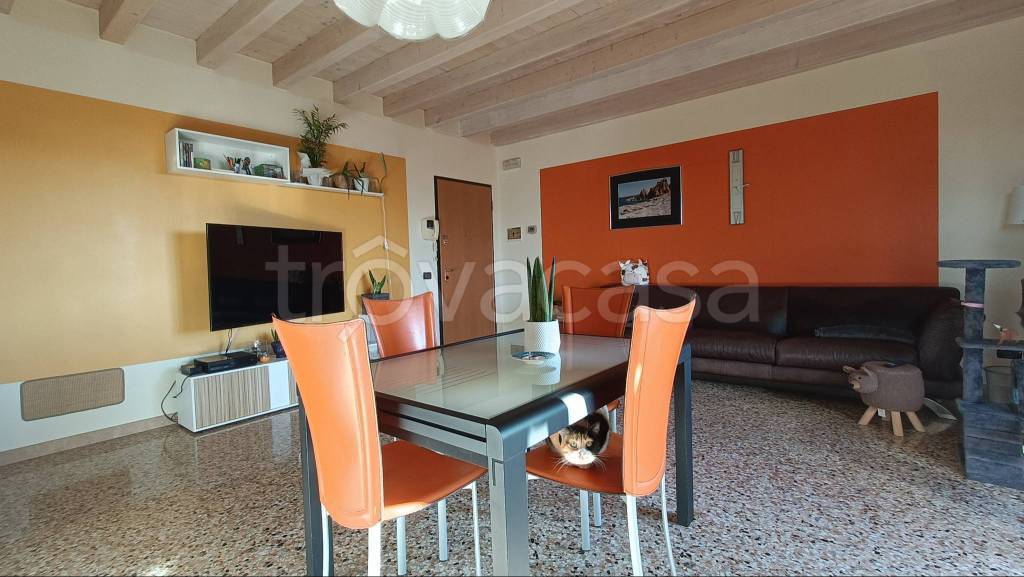 appartamento in vendita a Fontaniva
