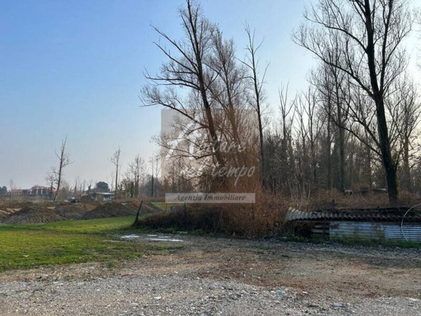 terreno agricolo in vendita a Fontaniva