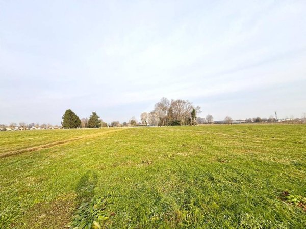 terreno agricolo in vendita a Fontaniva in zona San Giorgio in Brenta
