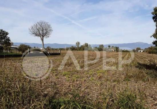 terreno agricolo in vendita a Galliera Veneta