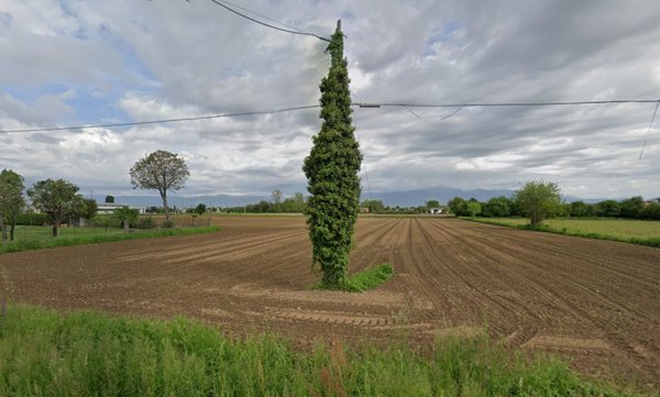 terreno agricolo in vendita a Galliera Veneta