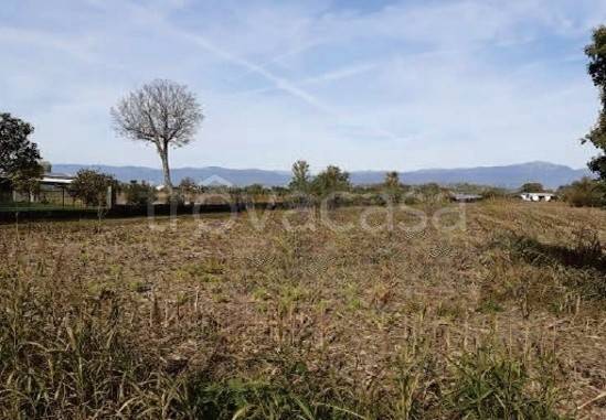 terreno agricolo in vendita a Galliera Veneta
