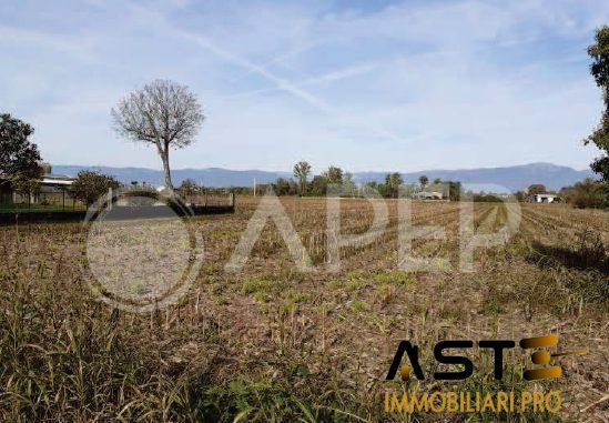 terreno agricolo in vendita a Galliera Veneta