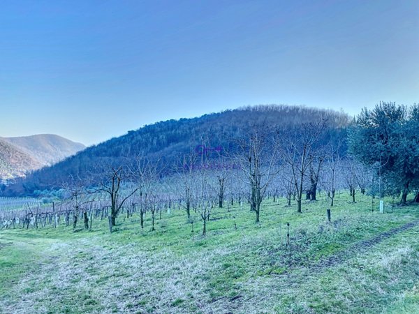 terreno agricolo in vendita a Galzignano Terme