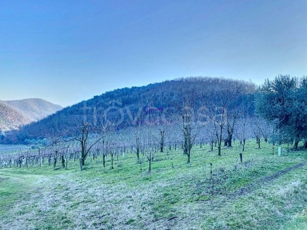 terreno agricolo in vendita a Galzignano Terme in zona Regazzoni