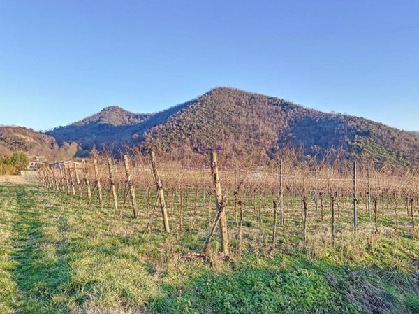 terreno agricolo in vendita a Galzignano Terme